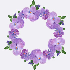Pansy flowers, violets - buds and leaves on a white background. Collage of flowers and leaves. Use printed materials, signs, objects, websites, maps.