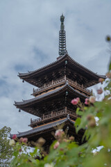 Obraz premium 本山寺