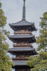 Fototapeta premium 本山寺