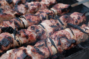 pork meat kebab on the grill close-up