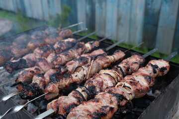 pork meat kebab on the grill close-up