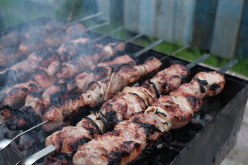 pork meat kebab on the grill close-up