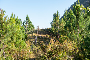 Fototapeta na wymiar Montaña con lago Reserva Forestal