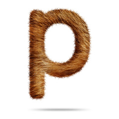 Small alphabet letter p design with brown fur texture