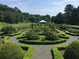 garden maze 
