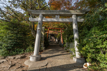 琴弾八幡宮