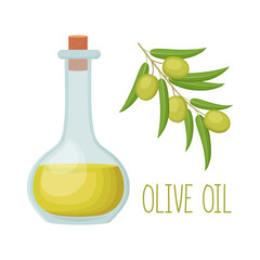 Bottle of olive oil and olive branch isolated on white background, vector illustration