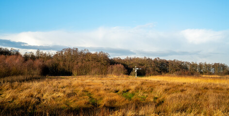 Fototapeta premium Swamp landscape with simple windmill 