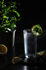 A glass with sparkling water with lemon	