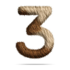 Fototapeta premium Number 3 design with fur texture