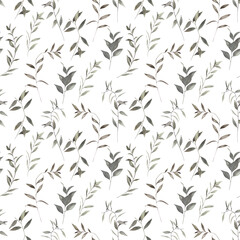 Watercolor seamless pattern  eucalyptus branches . Botanical nature print on white background. Hand drawn illustration