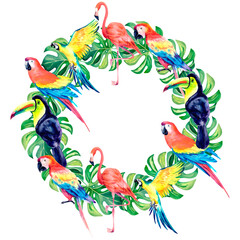 A wreath of tropical birds. Macaw, flamingo, toucan. Watercolor illustration on an isolated background. Exotic birds of hot countries.