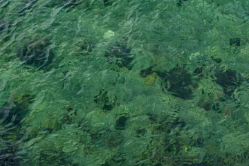 Nature background of ripple water texture