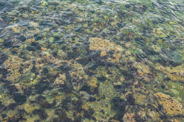 Nature background of ripple water texture