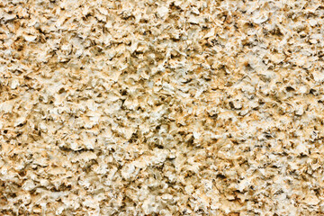 Mineral rock texture. Grainy geology surface. Color marble pattern. Rusty noise background. Vintage grunge backdrop. Sea shore rock texture.