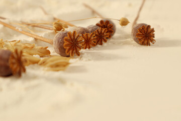 Cooking at home: scattered flour background with dry branches of cereals and poppy close-up, space for text