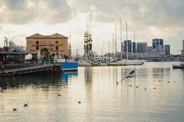 Panoramic landscape of the port of Genoa, Italy. Ligurian Sea, Europe. Ships, yachts, cranes, bulk carriers.