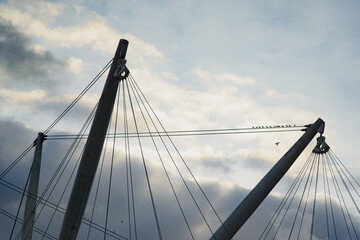 Power lines, wires with birds silhouetted against the sky.