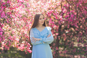 Adorable brunette girl in dress, with long hair is standing near a pink blooming apple trees,