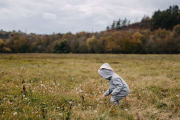 Little child in a grey bunny costume walking in an open field.