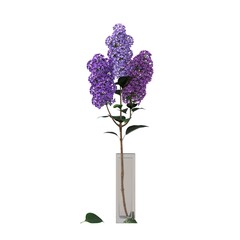 decorative flowers and plants for the interior, isolated on white background, 3D illustration, cg render