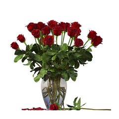 Obraz premium decorative flowers and plants for the interior, isolated on white background, 3D illustration, cg render