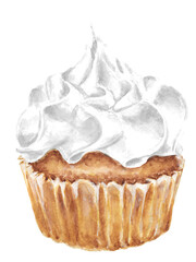 Watercolor hand drawn cupcake with cream