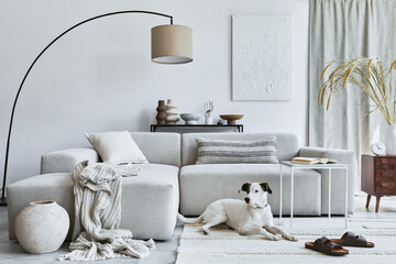Stylish composition of cozy living room interior design with mock up structure painting, dog, corner sofa, coffee table, textile and personal accessories. Scandinavian classic style.