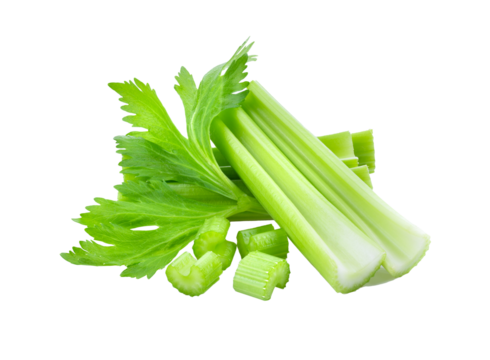 Fresh celery isolated on transparent png
