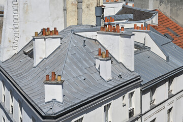 paris roof in zinc plate