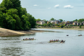 Student teams practicing rowing on the river Thames in Hammersmith, London, UK
