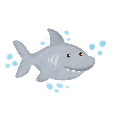 shark watercolor