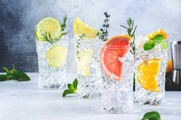Gin and tonic cocktails set. Trendy Alcoholic drinks with lime, lemon, grapefruit, orange,...