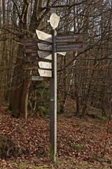 Wegweiser im Nationalpark Kellerwald-Edersee.