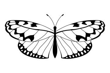 Silhouettes of butterfly.