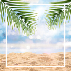 summer beach and palm trees frame concept