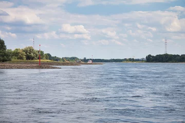 Fototapeten Rhein bei Zons © P. M. Ebel