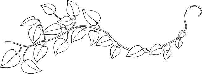Simplicity ivy freehand drawing 