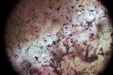Crystal under microscope 4