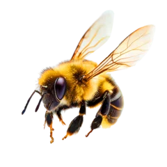 Deurstickers Bij honey bee landing isolated on transparent background cutout