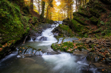 Szepit Waterfall in the Bieszczady Mountains