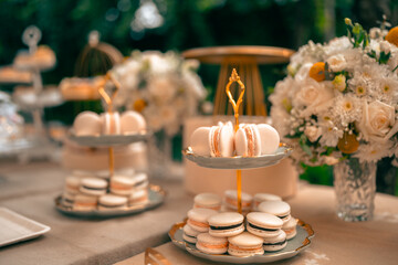Tea party At The Garden, Beautiful English Afternoon Breakfast Ceremony with Desserts and Snacks, desserts various set, Placed in a cute white dish and the flower petals around. Relax and happy