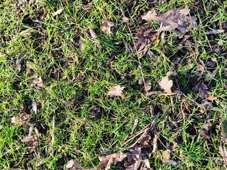 natural park photo collection