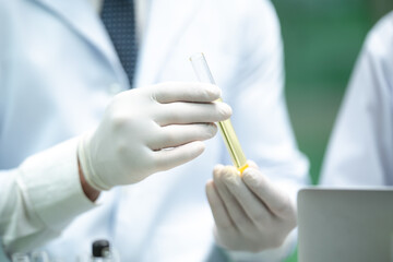 Closeup of hands of young and experienced male scientist and microbiologist wearing lab coat and gloves looking at a healthy green leaf plant for testing and research work in a laboratory