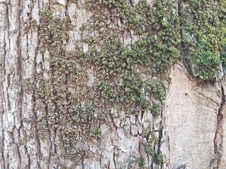 Natural park photo collection