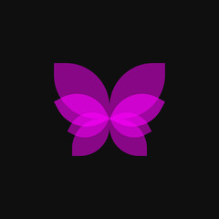 butterfly in purple tones