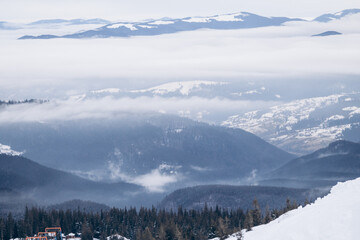 Fototapeta na wymiar Dragobrat, Ukraine mountain landscape with fog and fir trees
