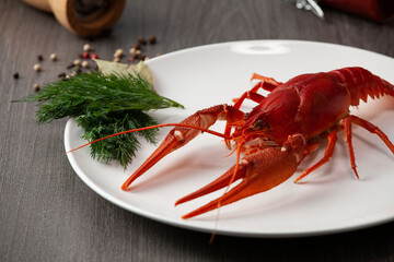 Large boiled crawfish on a plate with herbs on the table