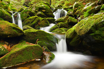 Waterfall on Black creek in the National park Sumava, Czechia. Mountain stream. - 569251331