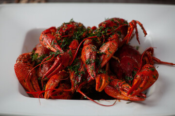 A lot of pickled boiled crawfish in sauce on a plate